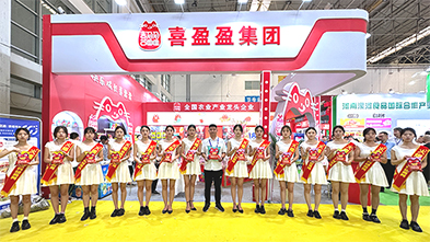 ���ƏV���ݴ�������