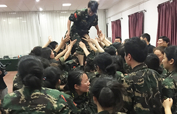 單槍匹馬難跨越，百人抱團筑長城！